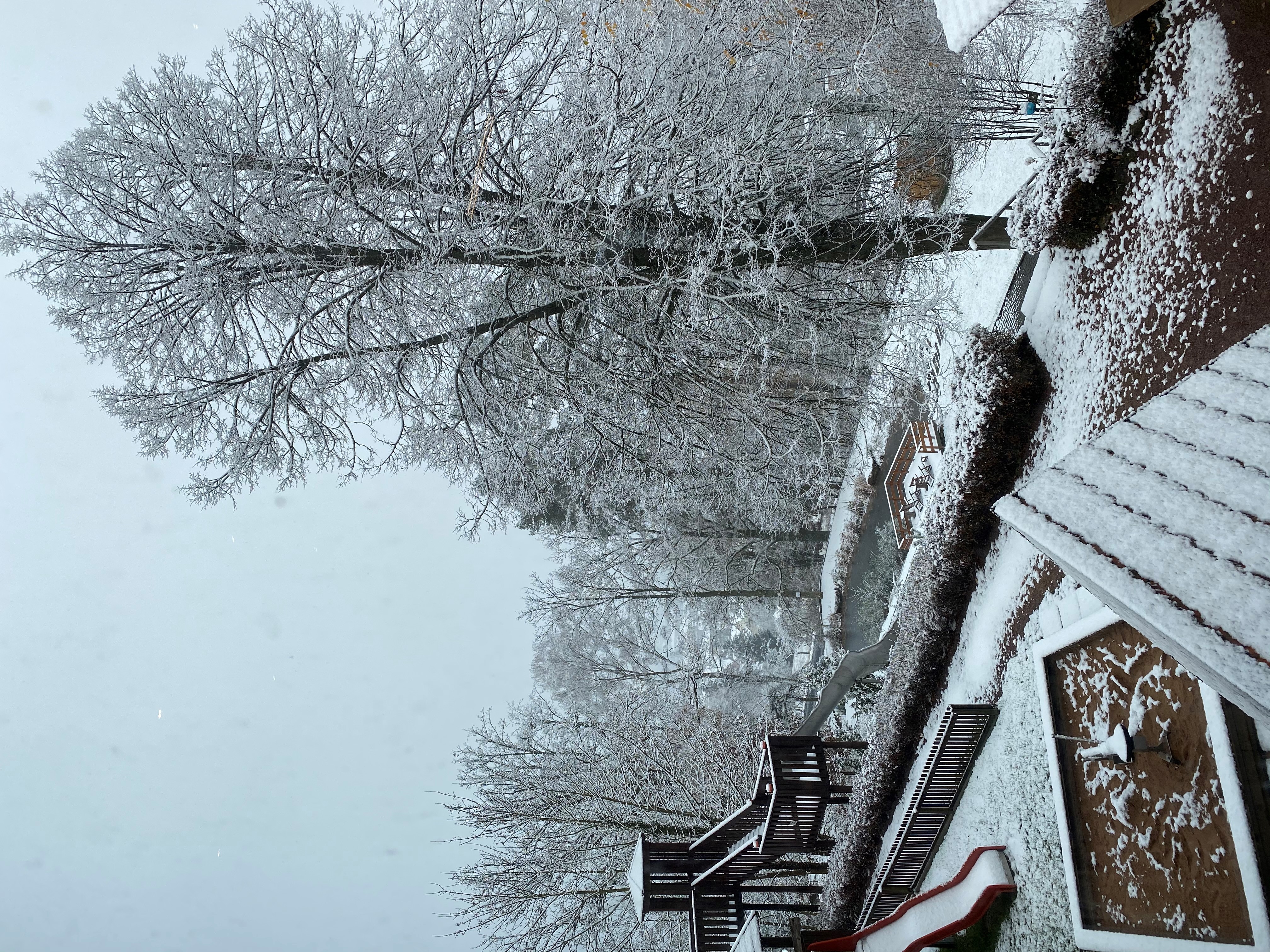 Lohr am Main im Winter – Spessart